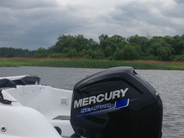 Mercury ME F115 EXLPT CT Sea Pro